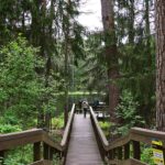 PASSEGGIATE CON GUIDA NATURALISTICA