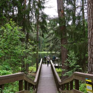 PASSEGGIATE CON GUIDA NATURALISTICA